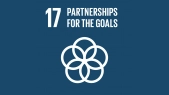 thumbnail of medium SDG 17