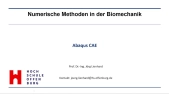 thumbnail of medium Abaqus_Lehrvideo, Biomechanik