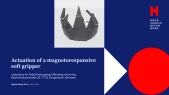 thumbnail of medium 4D-Printing Stargripper